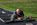 CGC20100046.jpg